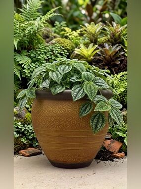 Hand-Painted Floral Terracotta Planter - 8-Inch Boho Clay Pot for Indoor Outdoor